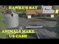 Hawke's Bay Ep 28     We're back and making cash     Farm Sim 19