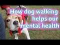 'How dog walking helps my mental health'
