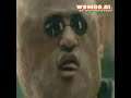 Morpheus, I Will Survive