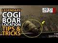 *NEW* Legendary Cogi Boar Location Tips & Tricks in Red Dead Online