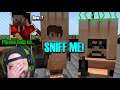 SSundee wants Sigils to... sniff his toes