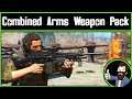 A Jaw-Dropping New Weapon Pack! (Fallout 4 Mod Review: Combined Arms Modern Weapon Pack)