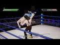 CHIKARA Action Arcade Wrestling Gameplay (PC Game)