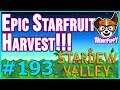 EPIC STARFRUIT HARVEST!!!! |  Let's Play Stardew Valley [Episode 193]
