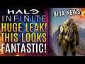 Halo Infinite - HUGE LEAK Showcases Expansive World! New Beta Updates Ahead of E3 2021 Gameplay!