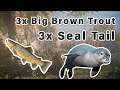 How to get Big Brown TROUT and SEAL Tail ► Assassin's Creed Valhalla
