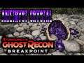 Non Combat Amethyst crystal  | Tom Clancy's Ghost Recon Breakpoint