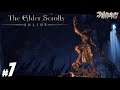The Elder Scrolls Online (Español) // Cap. 7: a Puerto Gélido a por Lyris