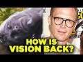 VISION RETURNS? WandaVision's Marvel Phase 4 Connections Explained!