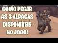 COMO PEGAR AS 3 ALPACAS DO WOW! | World of Warcraft: Battle for Azeroth | WoW BfA | Guia de Montaria