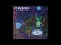 Tyranonaut – Marble Eye (2 Track Advance Promo)