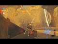 audap's The Legend of Zelda: Breath of the Wild Switch P20
