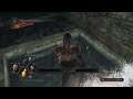 Dark Souls II: Scholar of the First Sin Let's Play #5 PS4