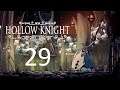 Ep.29 La Prova del Folle - Hollow Knight ITA