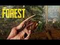 The Forest || Multiplayer Playthrough Part 6 || PS5 Stream