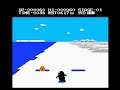 Antarctic Adventure (NES)