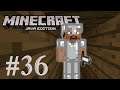 Home Sweet Home | Minecraft - Part 36 | First Playthrough