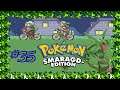 🐍Let's Play Pokémon Smaragd Edition Part 35 Der neue Champ der Pokémon Liga🐍