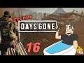 NEST DESTROYED | Let’s Play Days Gone - Gameplay: Part 16