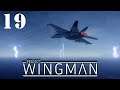 Project Wingman #19 (Mission 19 - Red Sea)