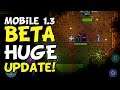 Terraria Mobile 1.3 Beta Huge Announcement News [iOS, Android]