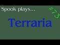 Terraria - Stream Archive #73
