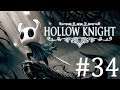 Hollow Knight Playthrough with Chaos part 34: The King's Brand
