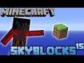 Skyblocks | Part 15 | I Lost So Much