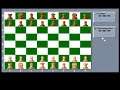 The Chessmaster 3000 (DOS)