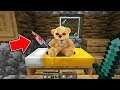 This Teddy Bear turns into something TERRIFYING when you look away... (Scary Minecraft Video)