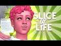 ATUALIZAÇÃO: MUITO MAIS REALISMO NA JOGABILIDADE COM SLIFE OF LIFE 5.0 | The Sims 4 | Mod Review