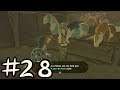 Let's Play Legend of Zelda: Breath of the Wild - Part 28: Outta My Swamp