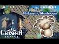 Where to Find Philanemo Mushroom - Genshin Impact