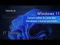 Windows 11 - Developer Chanel wird instabiler - Wechsel in den Beta Chanel