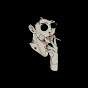 RITS