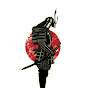 The Hollow Samurai
