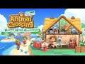 Animal Crossing New Horizons Paradise