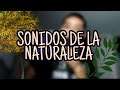 ASMR en Español 🇨🇴 Sonidos de la NATURALEZA