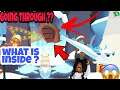 Going Through Frost Fury Gate In Roblox Adopt Me Winter Update