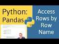 How to Access Rows by Name in Pandas (Python)
