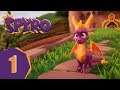 Spyro the Dragon Blind Ep.01 - Let's Get Adorable