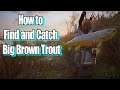 AC Valhalla The Siege of Paris How to Find and Catch Big Brown Trout Guide