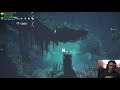 Hollow Knight - First Playthrough