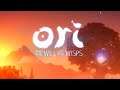 How To Change Resolution Scale Ori and the Will of the Wisps