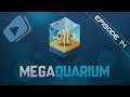 Megaquarium #FR - Episode 14