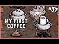 π· My First Coffee & Collecting Elephant Cactus | Don't Starve Hamlet/Shipwrecked Gameplay | Part 37