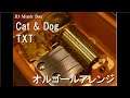 Cat & Dog/TXT【オルゴール】