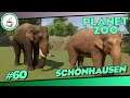 Ein Test im Zoo #60 «» Schönhausen Zoo 🦍 - PLANET ZOO Herausforderung | Deutsch German