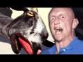 EU TÔ LOKO COM ESSA CABRA! - GOAT SIMULATOR