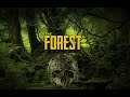 PS5     The Forest
